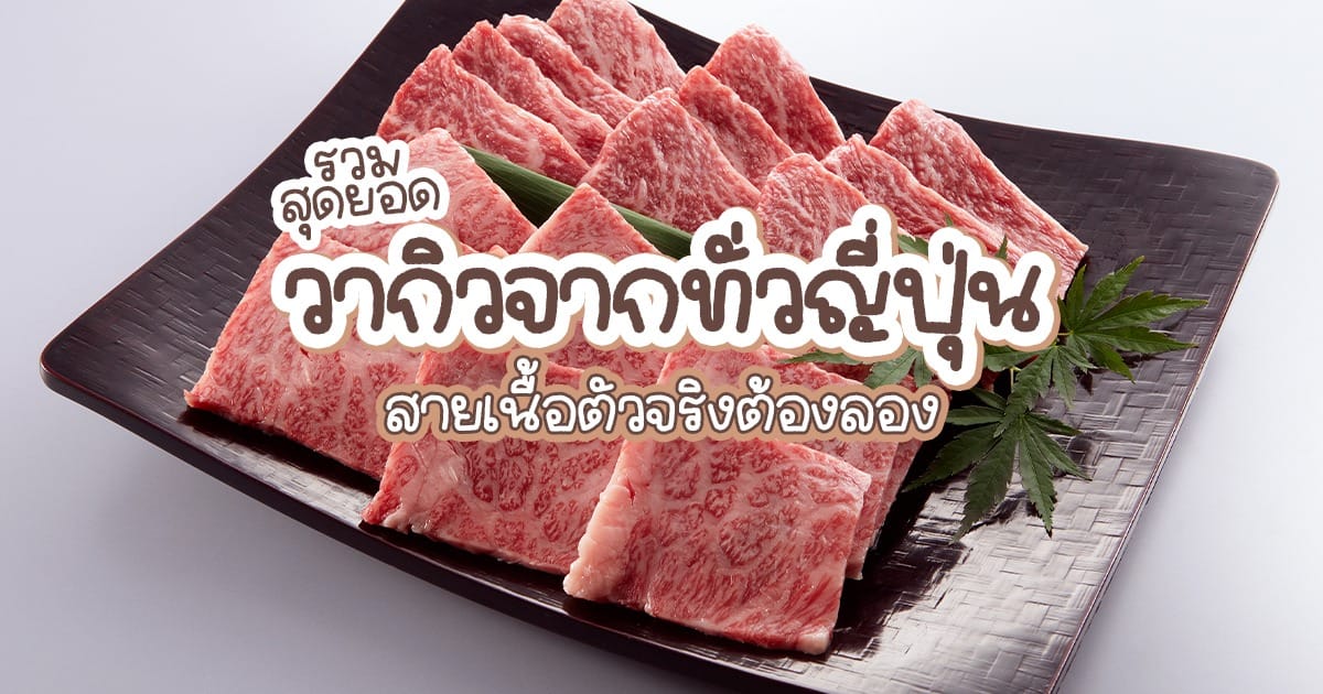 รวมสุดยอด วากิว จากทั่ว ญี่ปุ่น ที่สายเนื้อตัวจริงต้องลอง!