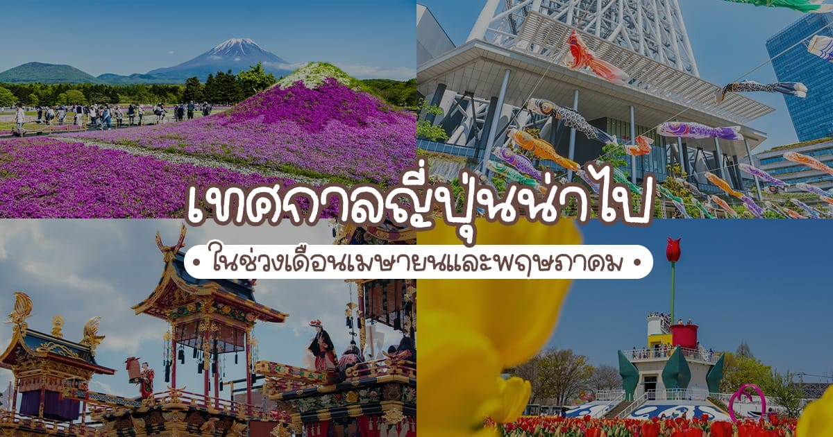 เทศกาลญี่ปุ่น น่าไปในช่วงเดือนเมษายนและพฤษภาคม