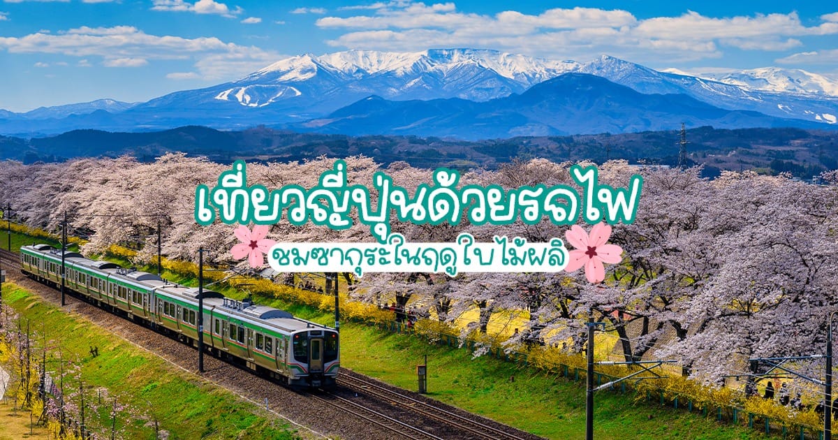 เที่ยวญี่ปุ่นด้วย รถไฟ ชม ซากุระ ในฤดูใบไม้ผลิ