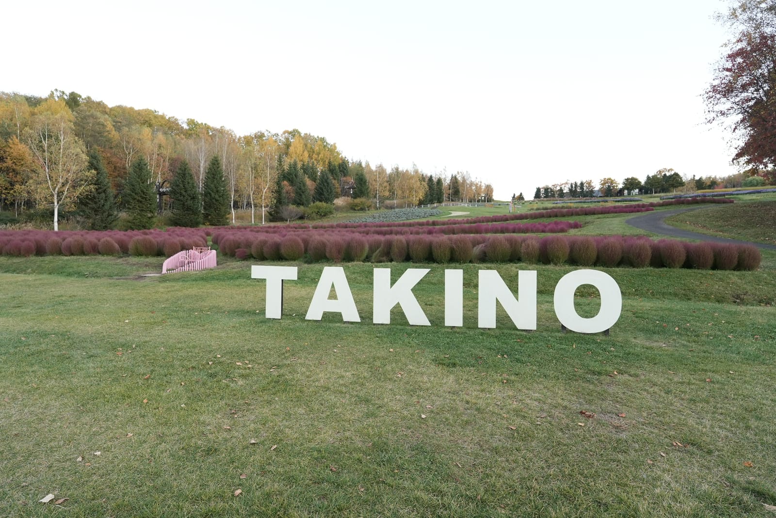 รีวิว Sapporo Takino Suzuran Hillside Park 🍂 ใบไม้กำลังเปลี่ยนสี