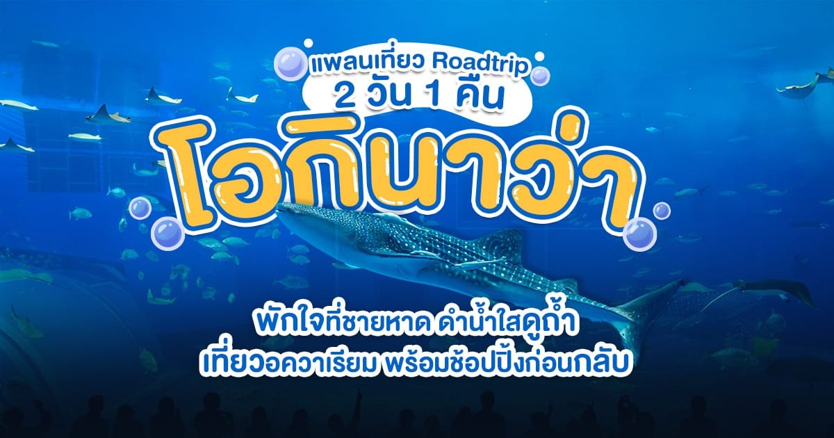 แพลนเที่ยว Roadtrip 2 วัน 1 คืน โอกินาว่า พักใจที่ชายหาด ดำน้ำใสดูถ้ำ เที่ยวอความเรียม พร้อมช้อปปิ้งก่อนกลับ