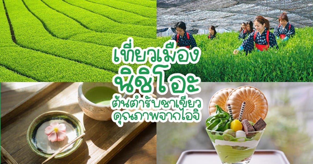 เที่ยวเมือง นิชิโอะ ชิม Nishio Matcha ต้นตำรับชาเขียวคุณภาพจากไอจิ