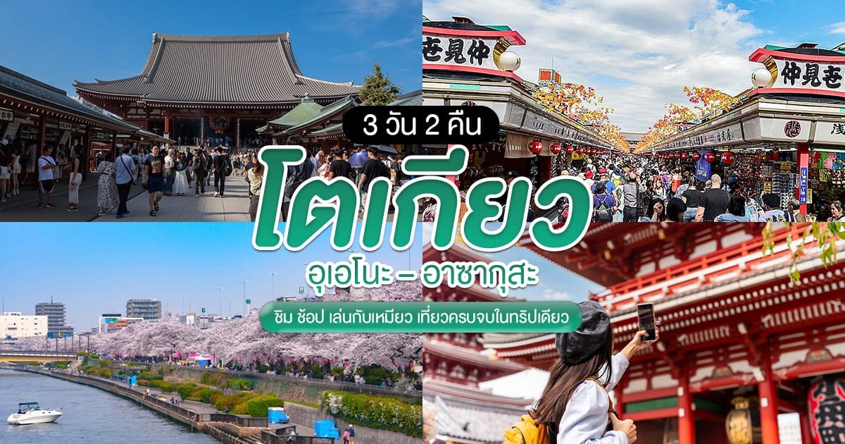 แพลนเที่ยว 3 วัน 2 คืน โตเกียว : อุเอโนะ – อาซากุสะ ชิม ช้อป เล่นกับเหมียว เที่ยวครบจบในทริปเดียว!