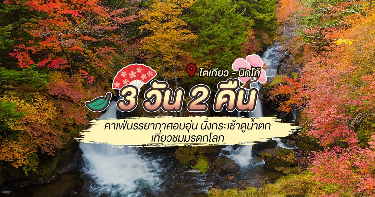 แพลนเที่ยว 3 วัน 2 คืนโตเกียว – นิกโก้ คาเฟ่บรรยากาศอบอุ่น นั่งกระเช้าดูน้ำตก  เที่ยวชมสถานที่มรดกโลก
