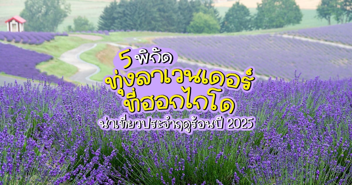 5 พิกัดทุ่ง ลาเวนเดอร์ ที่ ฮอกไกโด น่าเที่ยวประจำฤดูร้อนปี 2025
