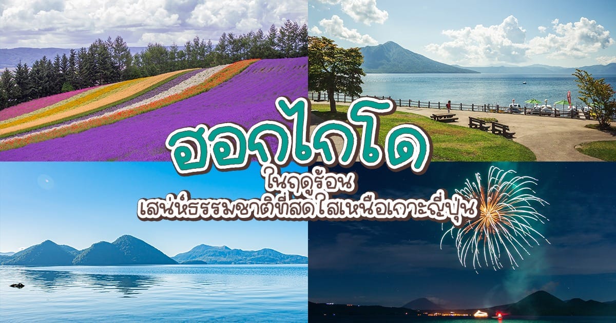 ฮอกไกโด ใน ฤดูร้อน เสน่ห์ธรรมชาติที่สดใสเหนือเกาะญี่ปุ่น