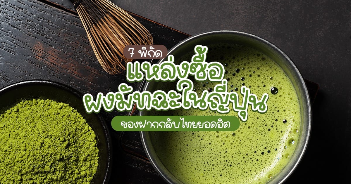 7 พิกัดแหล่งซื้อผง มัทฉะ ใน ญี่ปุ่น ของฝากกลับไทยยอดฮิต
