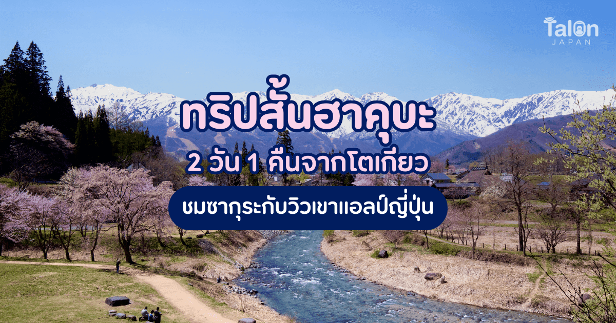ทริปสั้น ฮาคุบะ 2 วัน 1 คืนจาก โตเกียว ชม ซากุระ กับวิวเขาแอลป์ญี่ปุ่น
