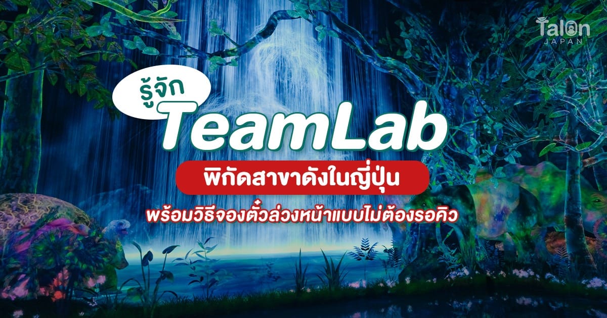TeamLab คืออะไร? พิกัดสาขาดังใน ญี่ปุ่น พร้อมวิธีจองตั๋วล่วงหน้าแบบไม่ต้องรอคิว