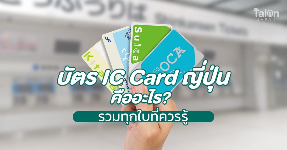 บัตรรถไฟ IC Card ญี่ปุ่น คืออะไร? รวมทุกใบที่ควรรู้