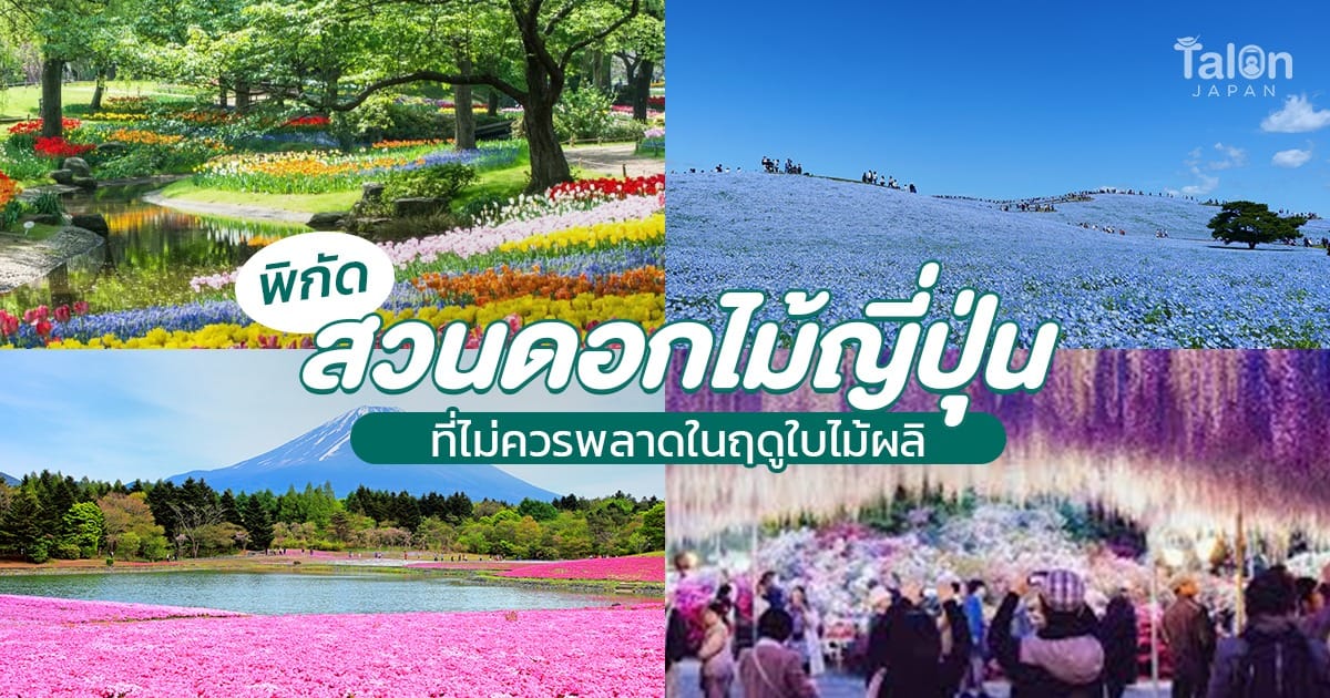 พิกัด สวนดอกไม้ ญี่ปุ่น ที่ไม่ควรพลาดในฤดูใบไม้ผลิ