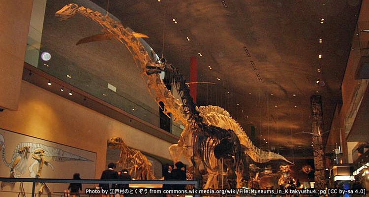 พิพิธภัณฑ์ประวัติศาสตร์ Natural History and Human History