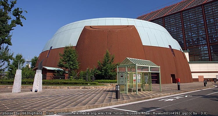 พิพิธภัณฑ์ลูกแพร์ Nijisseiki Pear Museum