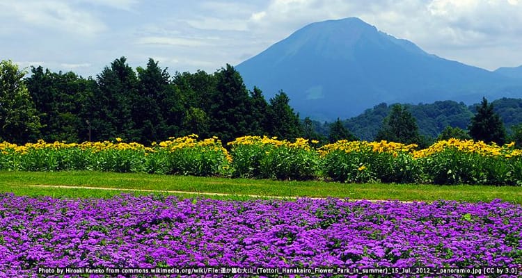 สวนดอกไม้ฮานะคาอิโระ Tottori Hanakairo Flower Park