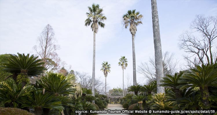 สวนพฤษศาสตร์เคนโมซุ ได Kenmotsu-Dai Arboretum