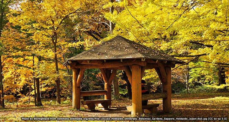 สวนพฤษศาสตร์ซัปโปโร Sapporo Botanic Garden
