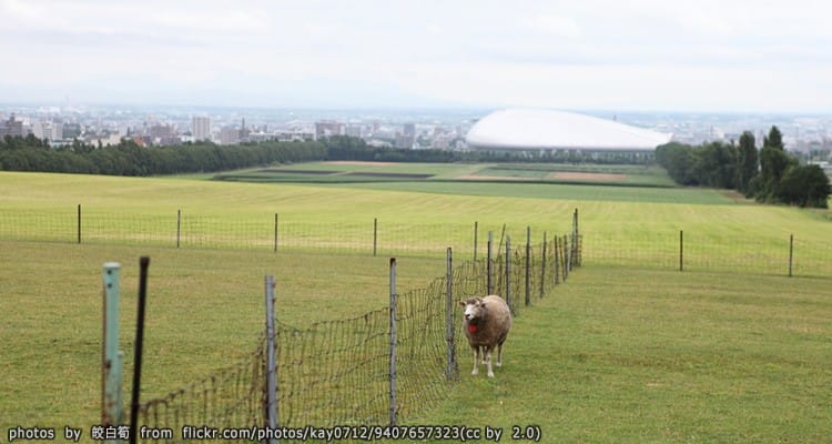 จุดชมวิวฮิสึจิงาโอคะ Hitsujigaoka Observation Hill