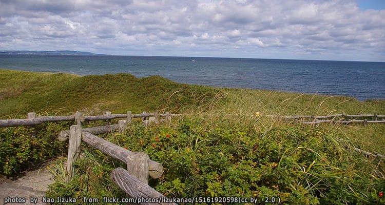 ทุ่งดอกไม้ป่า Koshimizu Primeval Flower Garden