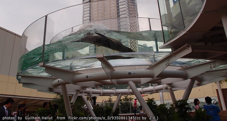 พิพิธภัณฑ์สัตว์น้ำซันไชน์ Sunshine Aquarium