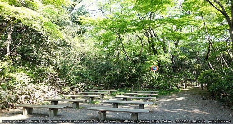 สถาบันเพื่อการศึกษาธรรมชาติ Institute for Nature Study