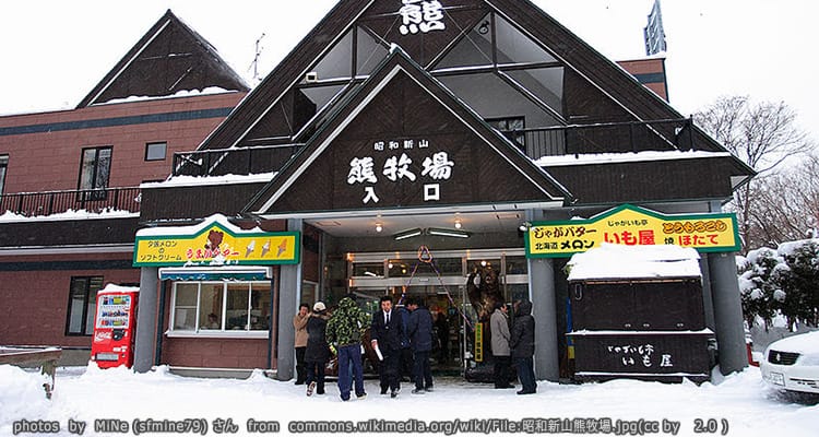 สวนหมีภูเขาไฟโชวะชินซัน Showa-Shinzan Bear Park