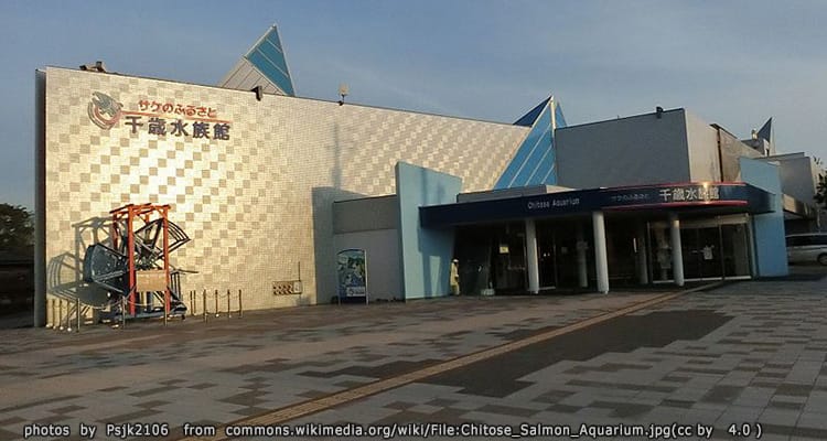 อควาเรียมปลาแซลมอน Chitose Salmon Aquarium