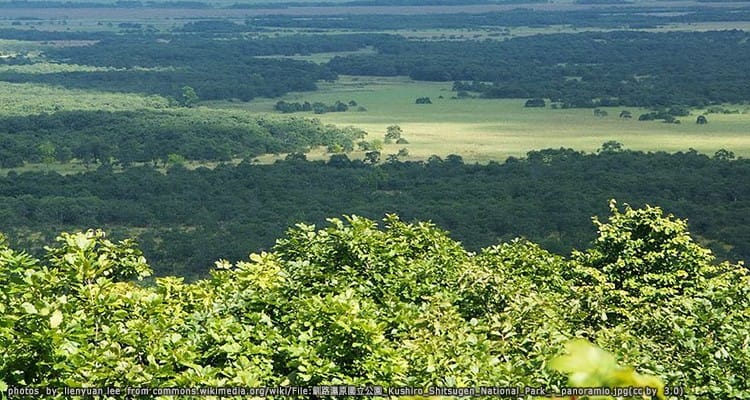 อุทยานแห่งชาติคุชิโระชิสึเงน Kushiro Shitsugen National Park