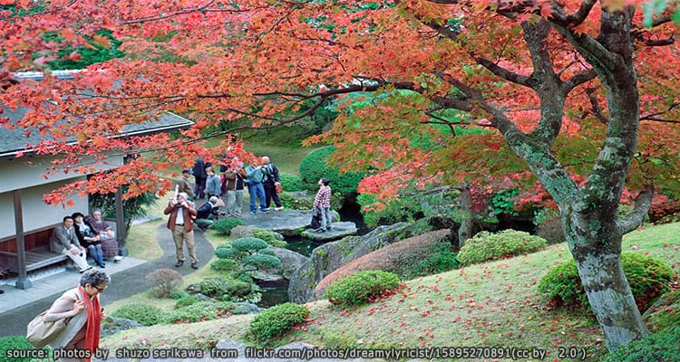 พิพิธภัณฑ์ศิลปะฮาโกเน่ Hakone Museum of Art