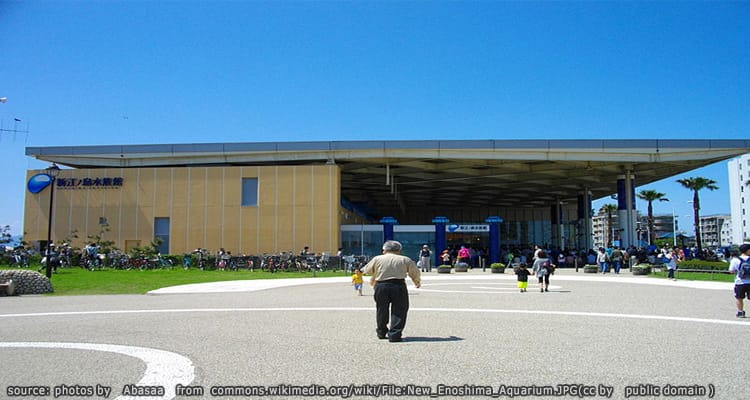 พิพิธภัณฑ์สัตว์น้ำอีโนชิมะ Enoshima Aquarium
