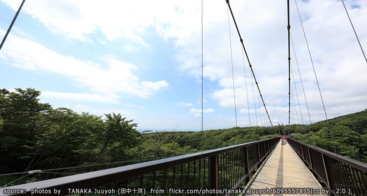 สะพานแขวนสึสึจิ Tsutsuji Suspension Bridge