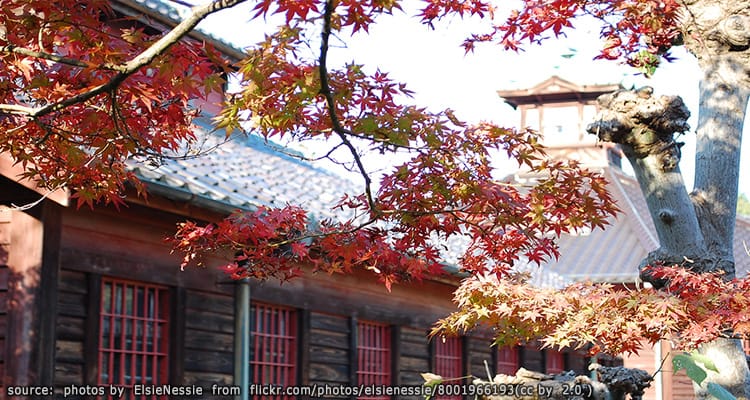 หมู่บ้านเมจิ หรือพิพิธภัณฑ์เมจิมูระ Meiji Mura