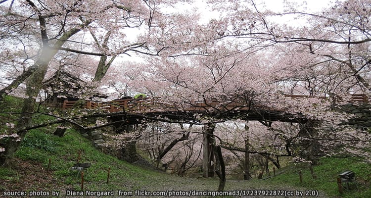 สวนสาธารณะซากปราสาททาคาโตะ Takato Castle Ruins Park