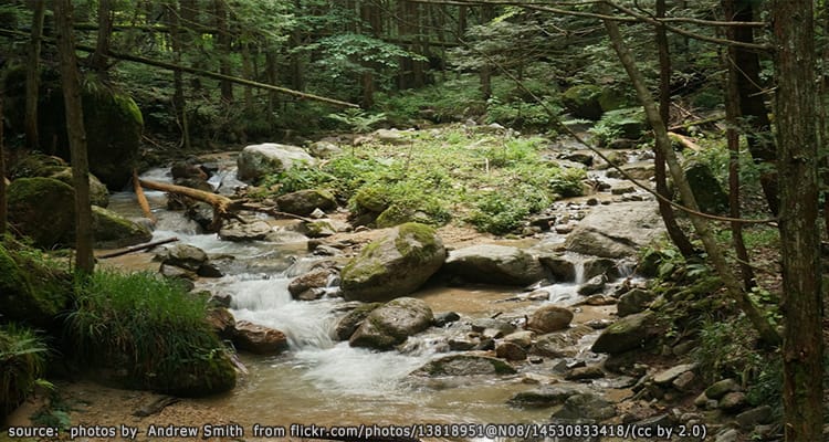 เส้นทางมาโงเมะ-สึมาโงะ Magome-Tsumago Trail