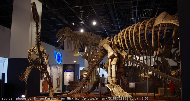 พิพิธภัณฑ์ไดโนเสาร์ฟูคุอิ Fukui Dinosaur Museum