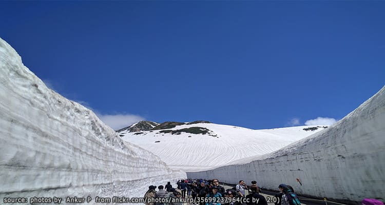 เส้นทางชมกำแพงหิมะทาเทยาม่า คุโรเบะ Tateyama Kurobe Alpine Route