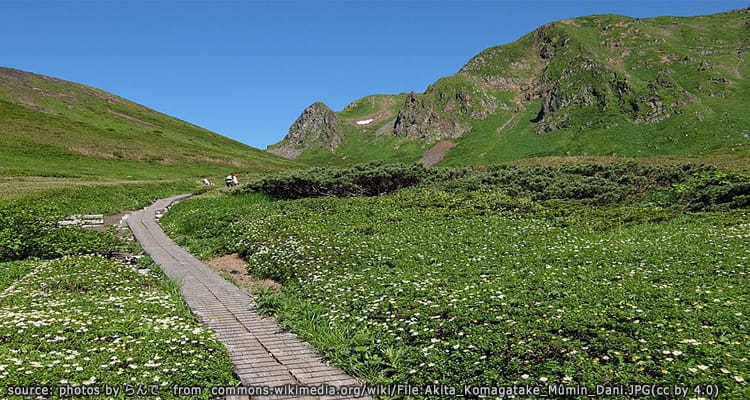 ภูเขาอากิตะ โกมางะทาเกะ Mount Akita-Komagatake