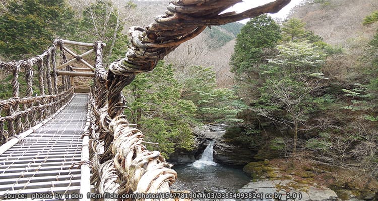 สะพานโอคุ-อิยะ คาซูระบาชิ Oku-Iya Kazurabashi Bridges