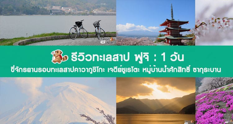 รีวิวเที่ยว 2 วัน 1 คืนที่ทะเลสาปคาวากูชิโกะ อลังการดอกซากุระบานกับภูเขาไฟฟูจิ
