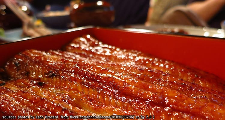 ร้านข้าวหน้าปลาไหลชื่อดัง โอบะนะ Obana Unagi