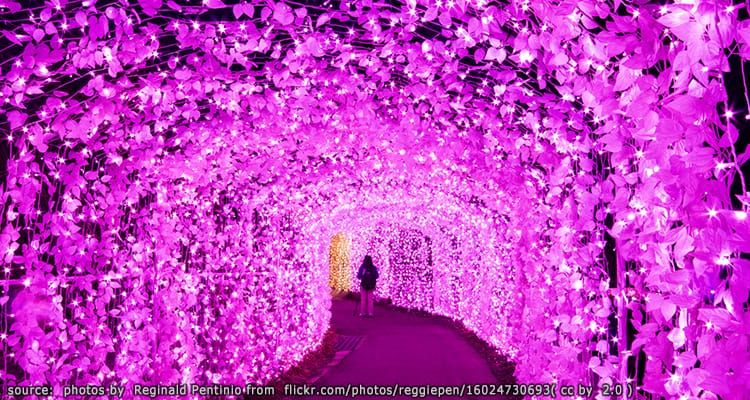 สวนสนุกที่ทะเลสาปซากามิโกะ Sagamiko Resort and Pleasure Forest