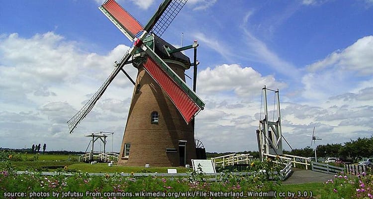 สวนดอกไม้ ซากุระ ฟูรูซาโตะ Sakura Furusato Square