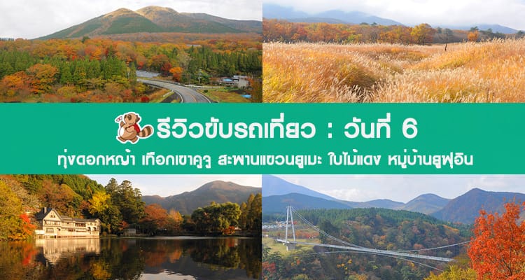 รีวิวขับรถเที่ยวทั่วเกาะคิวชู วันที่ 6 ดูใบไม้แดง ทุ่งดอกหญ้า และเมืองยูฟุอิน