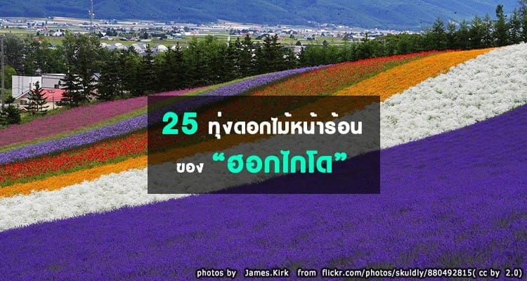 เที่ยว 25 ทุ่งดอกไม้สุดอลังการของเกาะฮอกไกโด หน้าร้อน