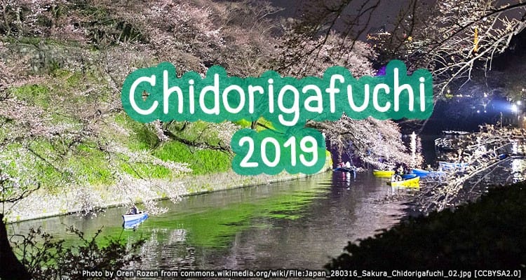 เทศกาลเปิดไฟชมซากุระแห่งสวนจิโดริงะฟุจิ Chidorigafuchi Cherry Blossom Illuminations 2019