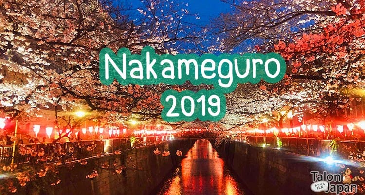 เทศกาลซากุระริมแม่น้ำเมกุโระ Nakameguro Cherry Blossom Illuminations 2019