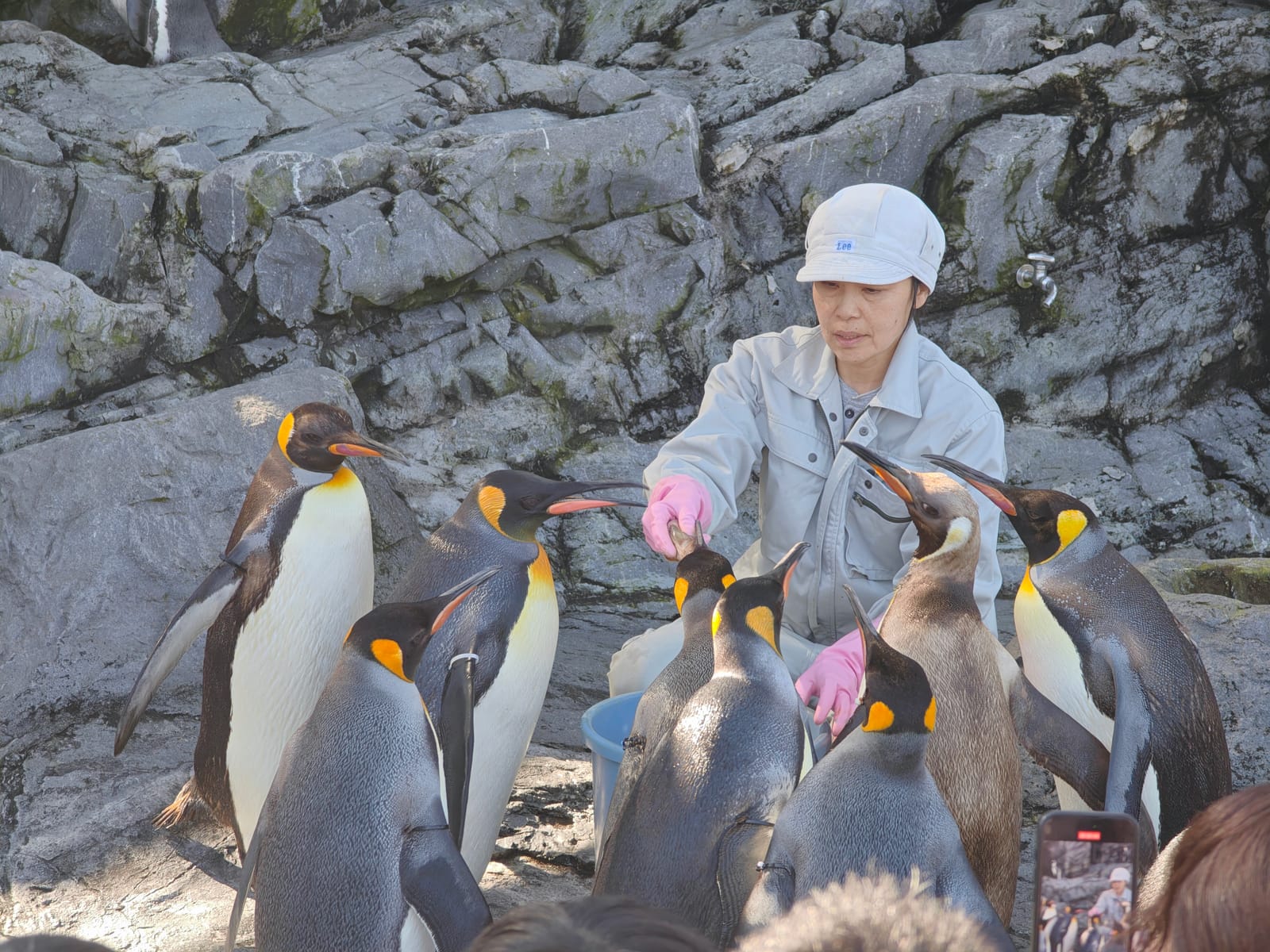 รีวิว Asahiyama Zoo ที่ดังที่สุดในฮอกไกโด
