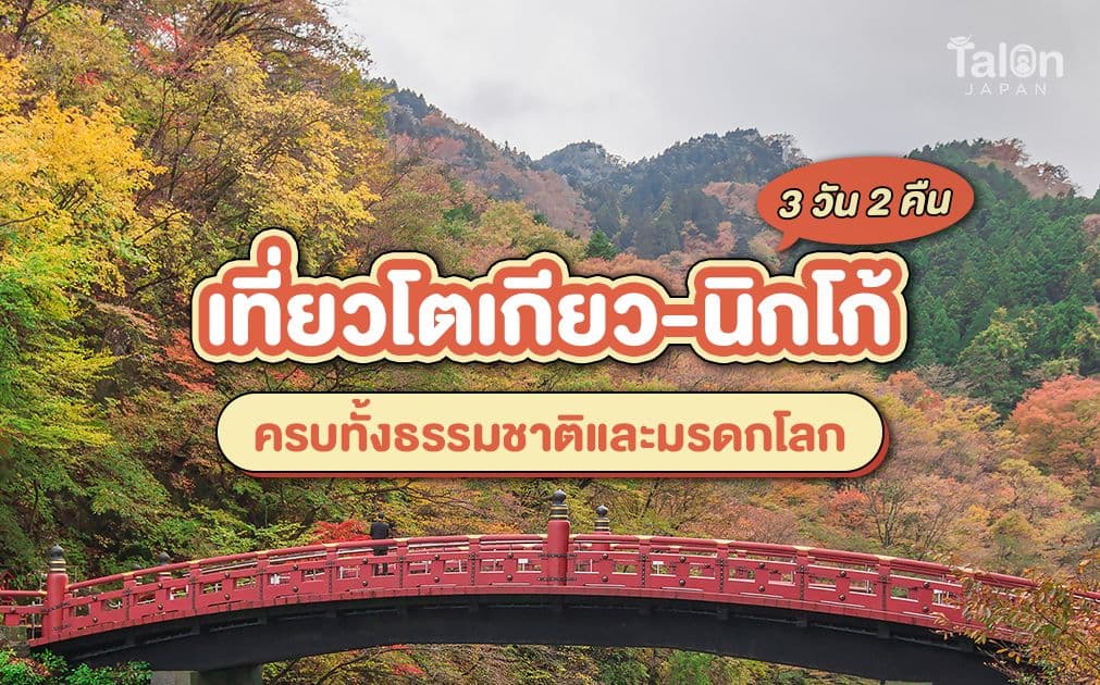 แพลนเที่ยว 3 วัน 2 คืนโตเกียว - นิกโก้ คาเฟ่บรรยากาศอบอุ่น นั่งกระเช้าดูน้ำตก เที่ยวชมสถานที่มรดกโลก