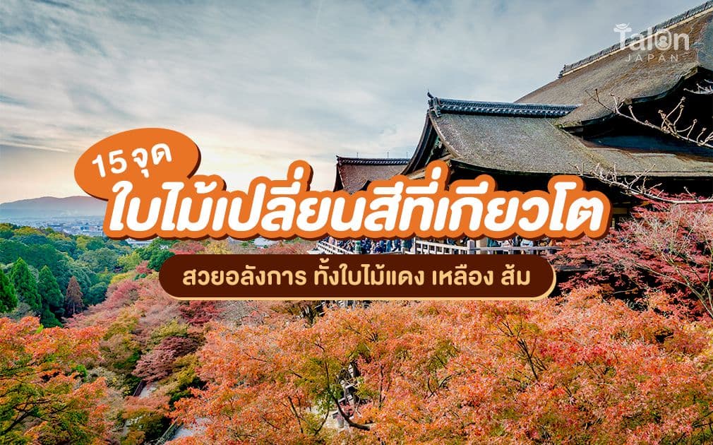 แนะนำ 15 จุดชมใบไม้เปลี่ยนสีเกียวโต สวยสุดอลังการ ทั้งใบไม้แดง เหลือง ส้ม