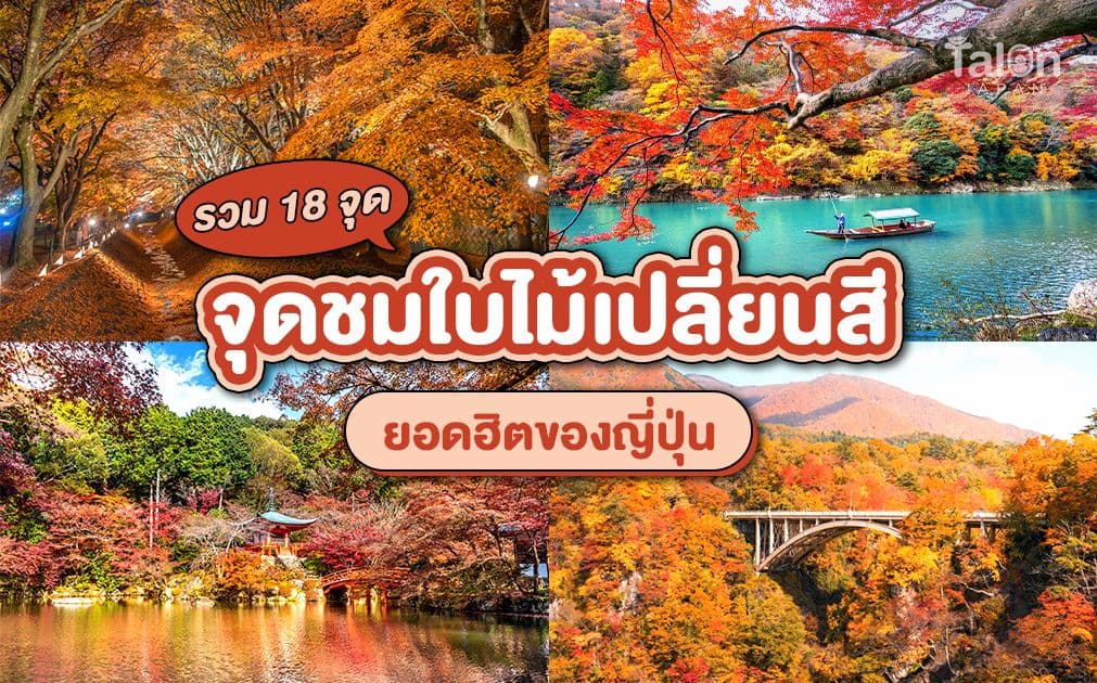 จุดชมใบไม้เปลี่ยนสี ญี่ปุ่น