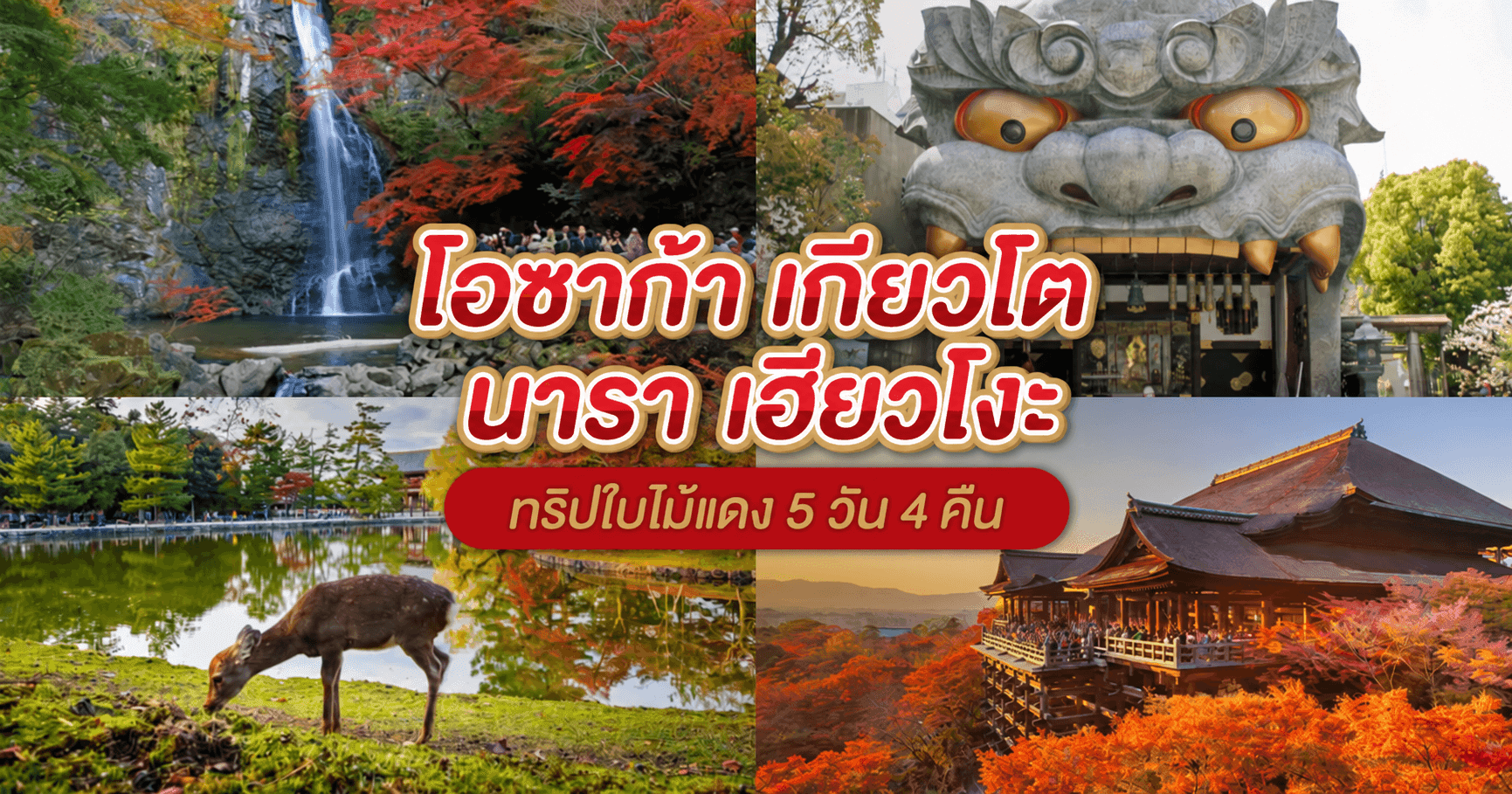 5 วัน 4 คืน โอซาก้า - เกียวโต - นารา - เฮียวโงะ ทริปใบไม้แดงต้องไป